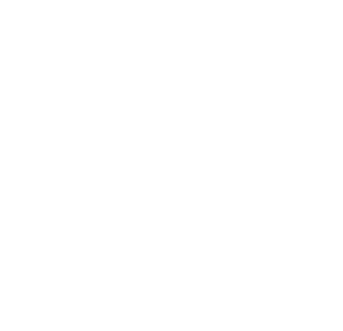 Harald Risinger Logo
